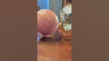 Where All My Money Goes | Dr Shefali Gupta #shorts