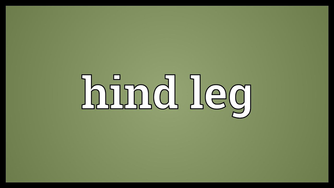 Hind legs