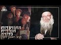 נוסטלגי התוועדות חסידית נדירה עם הרב ראובן דונין נוסטלגי התוועדות חסידית נדירה עם הרב ראובן דונין
