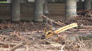 10-24-2019 Everett. Washington - Log Jam Clearing