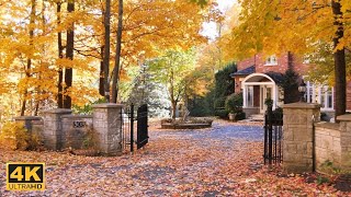 AUTUMN AMBIENCE Foliage Colors and Cozy Homes in Toronto area | 4K UHD tv