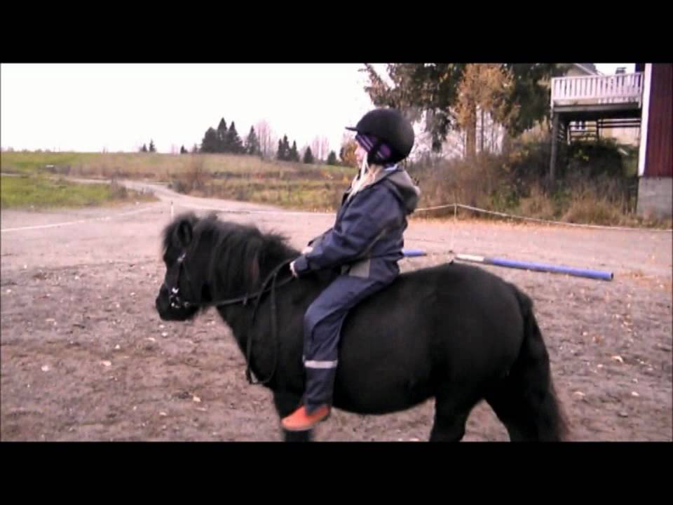 Gummy Bear Horses YouTube