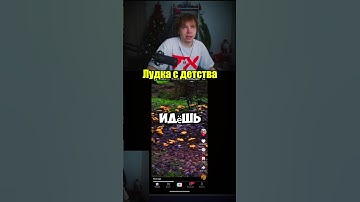 tви4: strogo #strogo #strogo1337