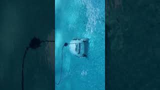 Dolphin E10 Pool Cleaner
