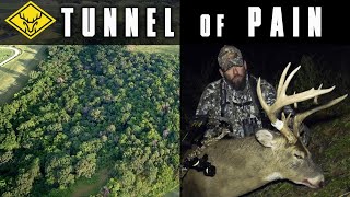 4 Big Bucks, 1 Tree Stand | TUNNEL OF PAIN