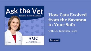 Ask the Vet: How Cats Evolved from the Savanna to Your Sofa by The Schwarzman Animal Medical Center 72 views 3 months ago 53 minutes