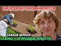 VLOG День перед отъездом. Садовые работы продолжаются.