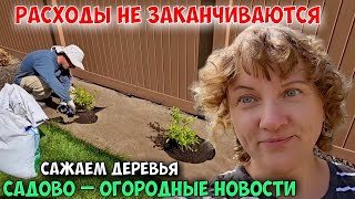 VLOG День перед отъездом. Садовые работы продолжаются.