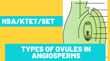 Types Of Ovules In Angiosperms