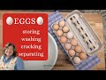 Storing eggs wash farm eggs crack eggs separate yolks using eggs