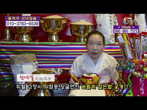 선녀점술 010-3783-6539 쥐털 고양이 수염등 당골만의 바람끼 잡는법 공개!!! 운세 사주 궁합 서울 용한점집 유명한점집 유명한무속인 용한무속인 용한무당 점집 무당