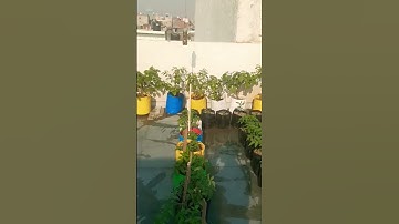 Thumbnail of Super Gardening 😉 #satisfying #short