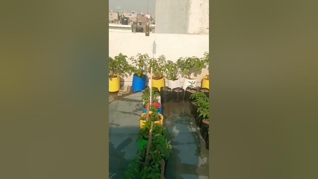 Super Gardening 😉 #satisfying #short