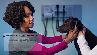 Pet Care Basics