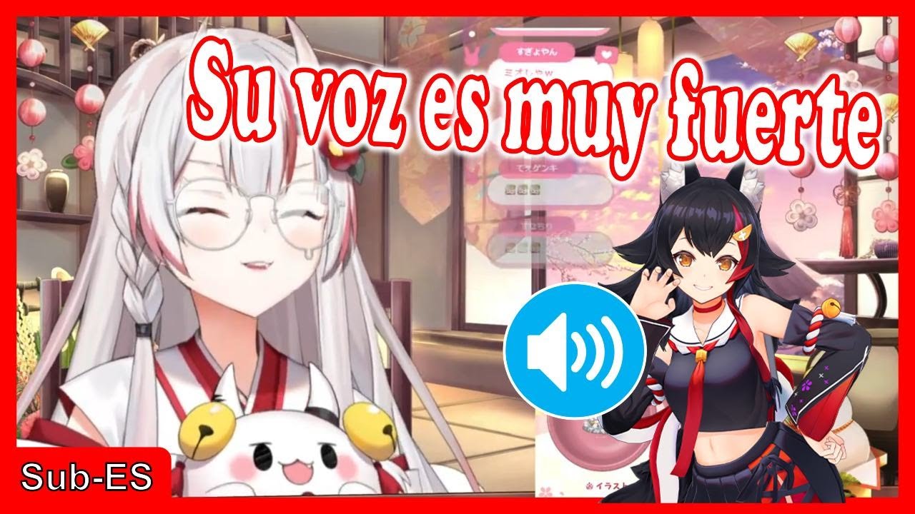 Memoria De Voz Del Bebé (importación De Japón