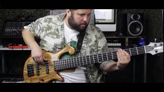 Video voorbeeld van "Las avispas bass cover"