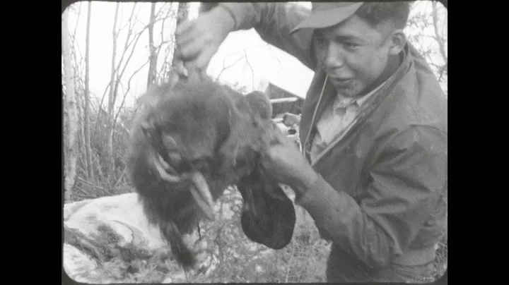 People of the Muskeg: A Moose Hunt (Gene Gregoret,...