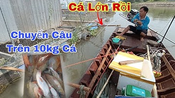 Câu Cá Trên Bè, Trúng Ổ Cá Chim, Cá Tra, Cá Cóc Ăn Mạnh Trở Tay Không Kịp | Trần Đại Fishing