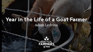 Year in the Life of a Goat Farmer - Adam Ledvina