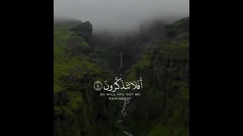 حالات واتس صوت يهدم أعصابك للقارئ عبدالرحمن مسعد ارح سمعك💙🖤