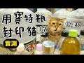 【黃阿瑪的後宮生活】用寶特瓶封印貓！實測