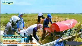 Kepalang Tani Emek Aryanto cover clip kuli tani alas loyang ibu Mar/BPK Rasmun