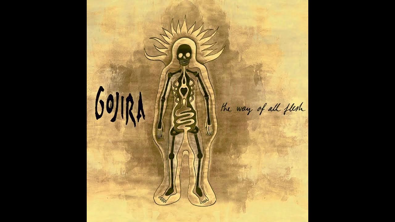 Gojira Esoteric Surgery (C tuning) YouTube