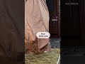 #jilbabgirls