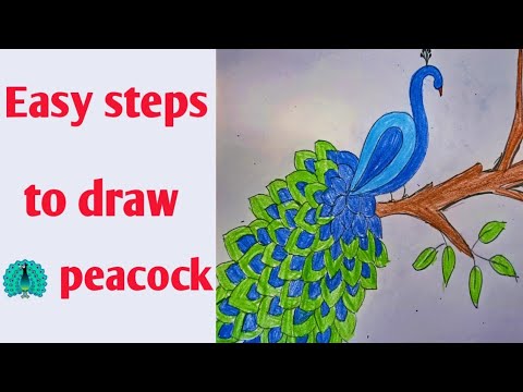 Easy steps to draw peacock - YouTube