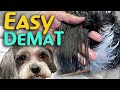 2 EASY WAYS to De-Mat your DOG at home NATURALLY