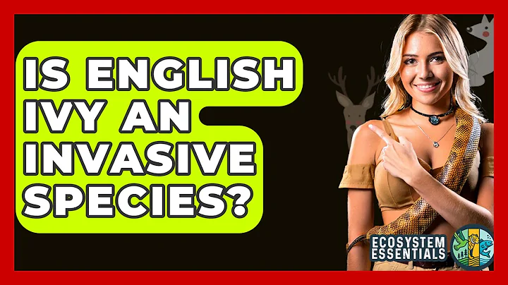 Is English Ivy An Invasive Species? - Ecosystem Essentials