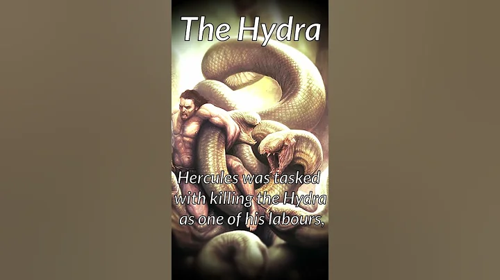 The Hydra