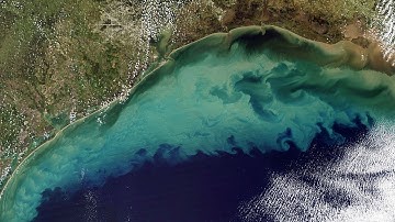 Dead Zone in the Gulf of America