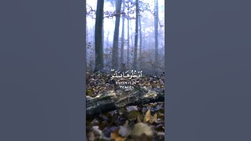 اللهم اجعلنا ممن تقول فيهم ادخلوها بسلام ذالك يوم الخلود 🤲 القارئ محمد هشام حسن تلاوة من سورة ق