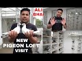 Pigeon lover ali bhai new pigeon loft visit  2024   kolkata rajarhat new town   7003401838 