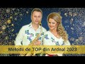 Suzana toader  melodii de top din ardeal  cea mai ascultat muzic de petrecere din 2023