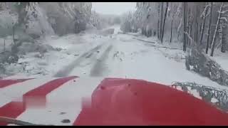4 мая 2024 года. Деревопад на трассе Екатеринбург-Пермь после сильного снегопада.