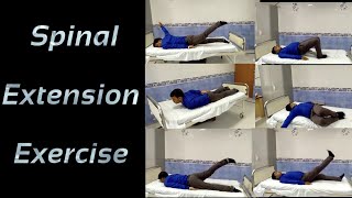 Exercise in Low back pain , Exercise in back pain , &quot;Spinal extension exercise&quot; ,