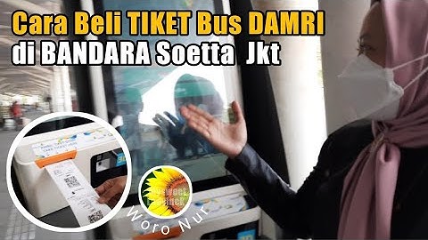 CARA BELI TIKET 🚎 DAMRI di Bandara Soekarno Hatta Jakarta
