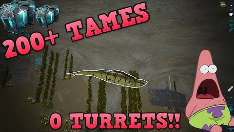 Wiping Our Biggest Competition