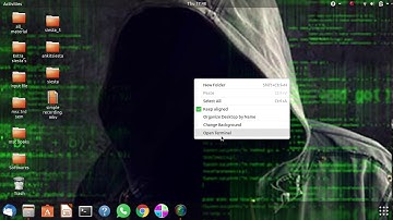 correct installation of siesta