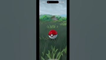 Weird Pokemon go bug