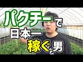 パクチー 育て方 種まき 時期 プロの栽培 【葉物の中で一番稼げる！？】