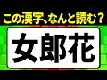 多くの人が誤読している漢字「女郎花」何と読む?読み間違えやすい漢字クイズ問題!全15問【難読漢字】