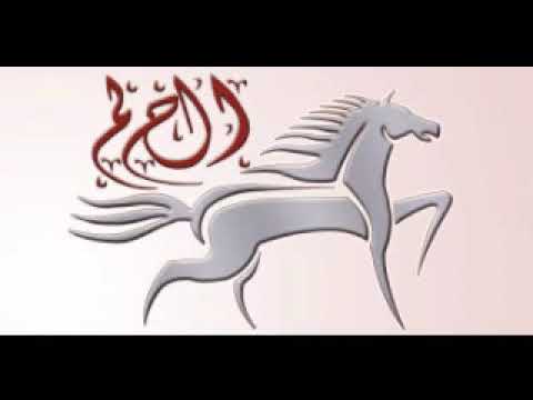 حلقه كامله دعوه للتقائل مع المدرب هيثم حسنى