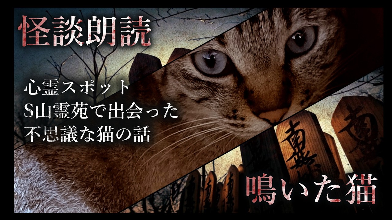 【怪談朗読】心霊スポットS山霊園で出会った不思議な猫の話「鳴いた猫」 #怪談