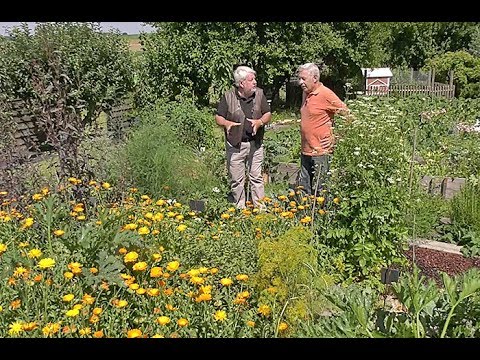 Vidéo: Petits Secrets De Jardinage