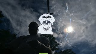 13761 Shih Tzu Dog Vinyl Car or Truck Window Decal Sticker
