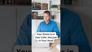 Your stress is not just in your head. It lives in your cells #ChronicIllness #Mitochondria #Stress
Your stress is not just in your head. It lives in your cells #ChronicIllness #Mitochondria #Stress Your stress is not just in your head. It lives in your cells #ChronicIllness #Mitochondria #Stress