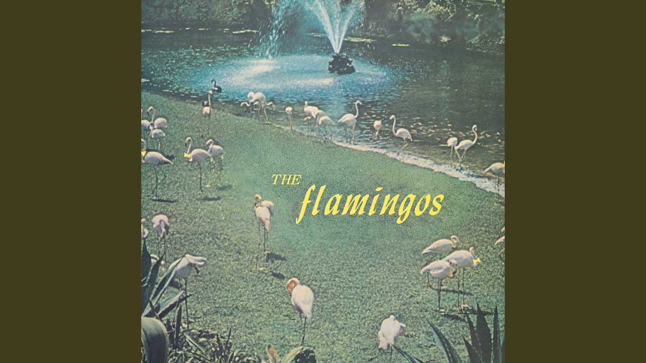 Top 10 Songs By The Flamingos -